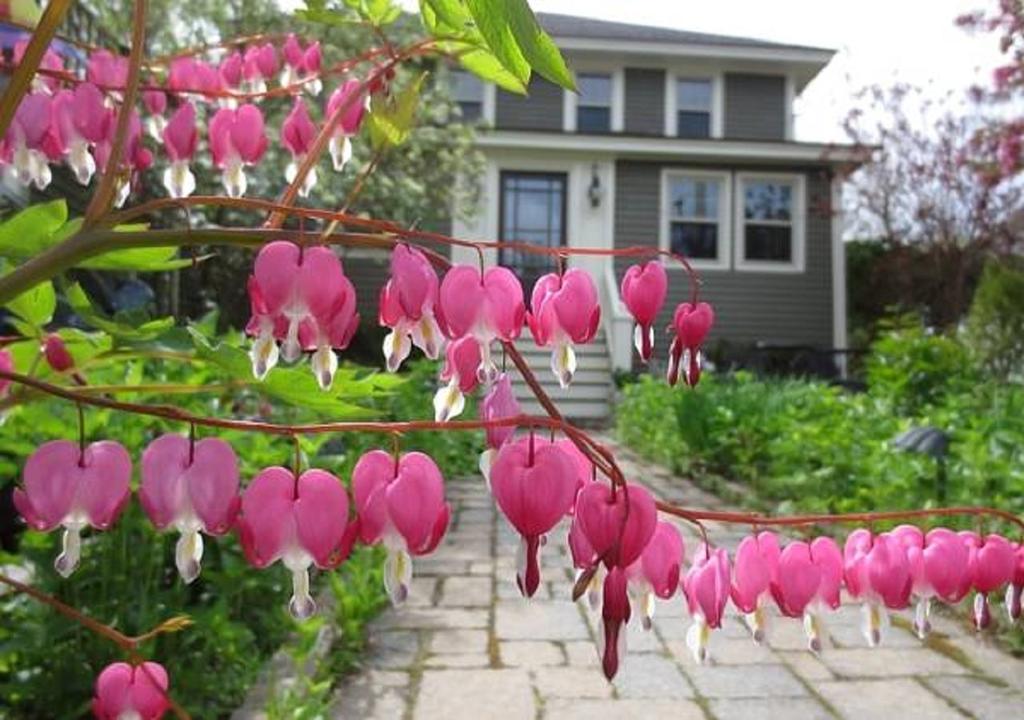 Ogunquit Beach Inn 外观 照片